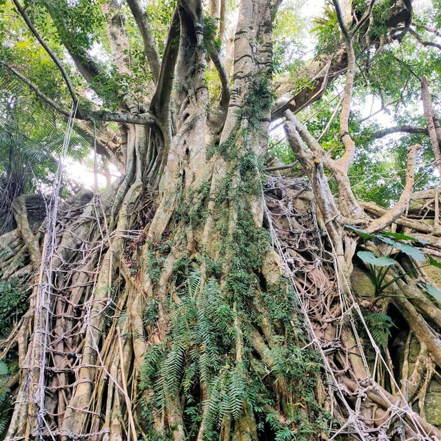 布農族原住民生活體驗