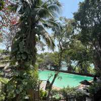 Birds & Bees Resort รีสอร์ทที่ธรรมชาติสุดๆในพัทยา