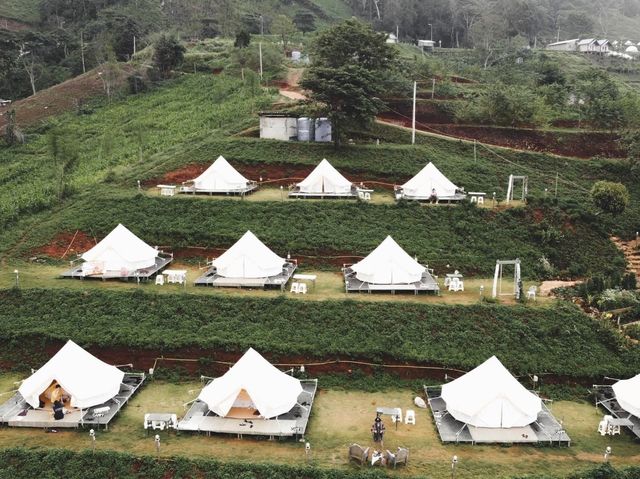 CAMP Phuchifa แคมป์ภูชี้ฟ้า 