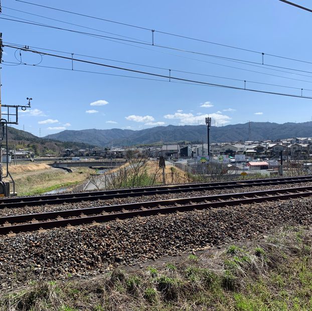 京都嵯峨野小火車🌸 GO GO GO~~~