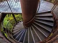 Haven for Bird & Nature Enthusiast 