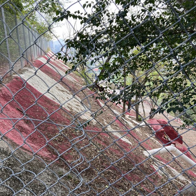 日落格仔山 懶人打卡勝地
