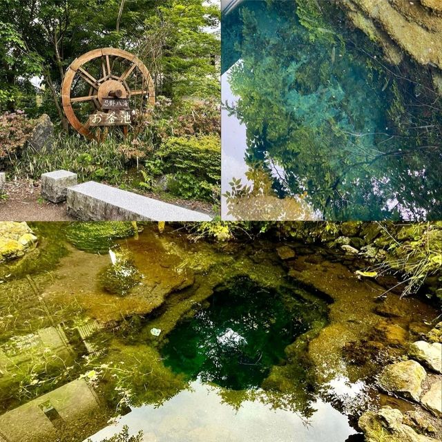 【山梨県/忍野村】忍野八海