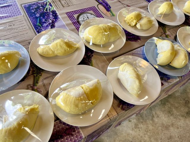 เที่ยวสวนละไม กินบุฟเฟต์ ทุเรียนกัน@ระยอง