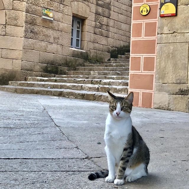 【スペイン】各地の建物やフラメンコを楽しむ！スペイン村