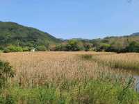 【東北純樸之地~鹿頸🏞️】