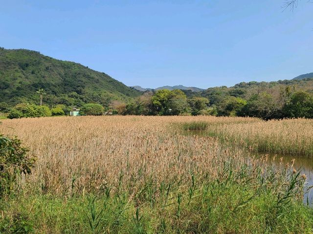 【東北純樸之地~鹿頸🏞️】