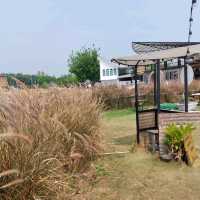 บ้านติดดิน