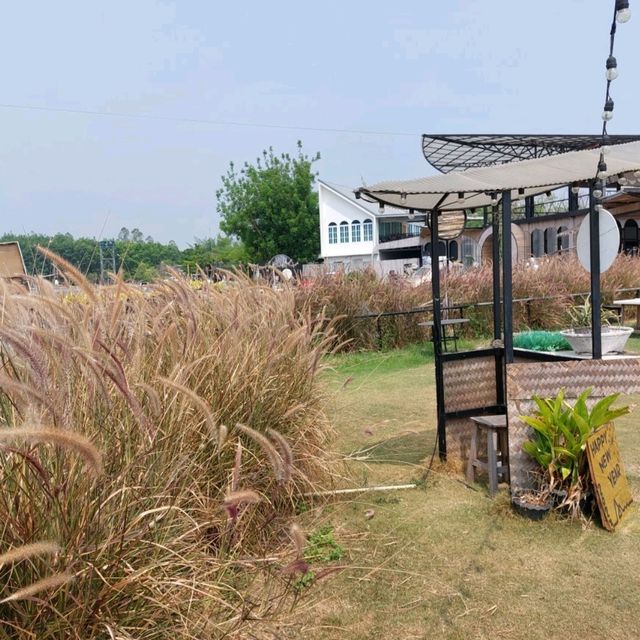 บ้านติดดิน
