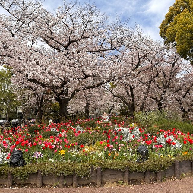 一個好有外國氣息而且好寧靜既賞花公園