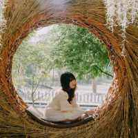คาเฟ่ลับนครปฐม กินขนม ชมน้องควาย ใกล้ชิดธรรมชาติ