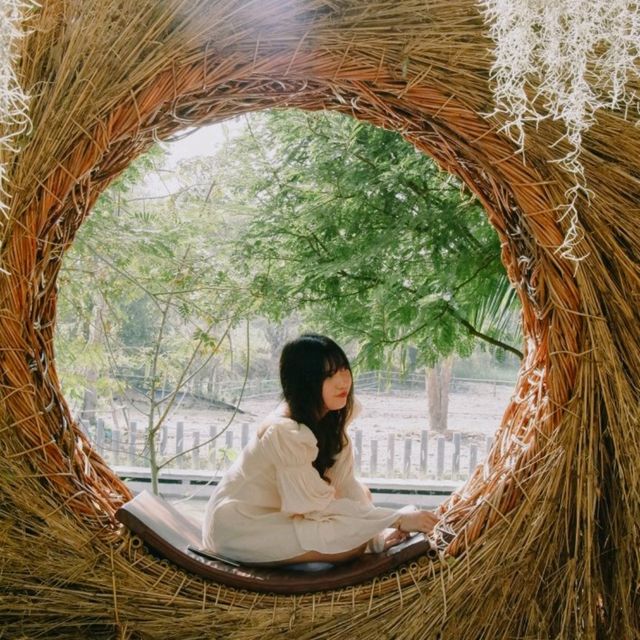 คาเฟ่ลับนครปฐม กินขนม ชมน้องควาย ใกล้ชิดธรรมชาติ