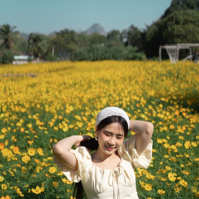 🌼 กระเพรา & coffee