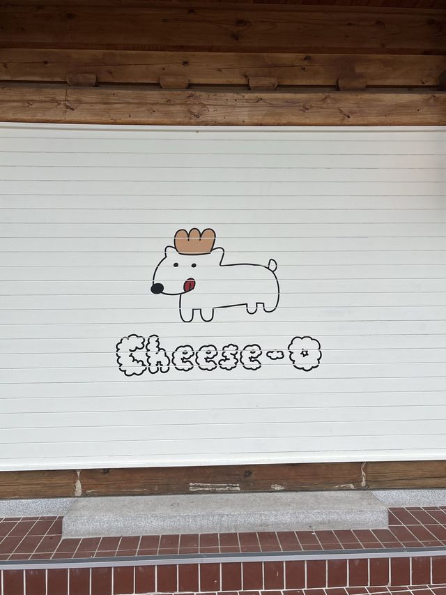 경주 뚜벅이도 문제없는 핫플