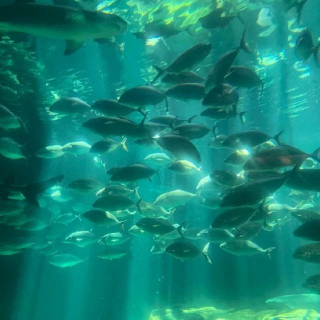 香港海洋公園