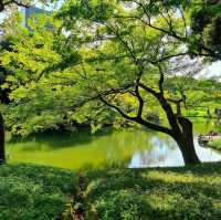 Koishikawa Korakuen Gardens