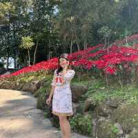 สวนละไม นานาดอกไม้🌷🌹🌻
