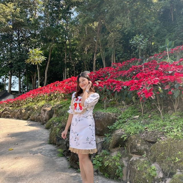 สวนละไม นานาดอกไม้🌷🌹🌻
