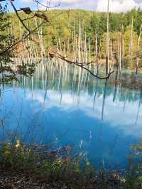 【北海道観光】1度は見てみたい神秘的な青🩵