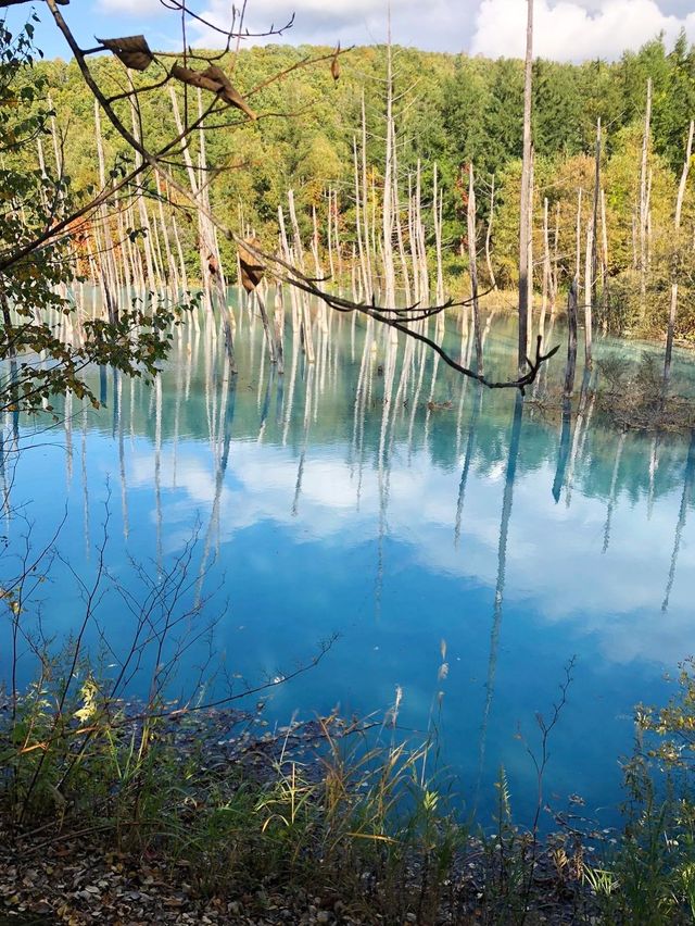 【北海道観光】1度は見てみたい神秘的な青🩵