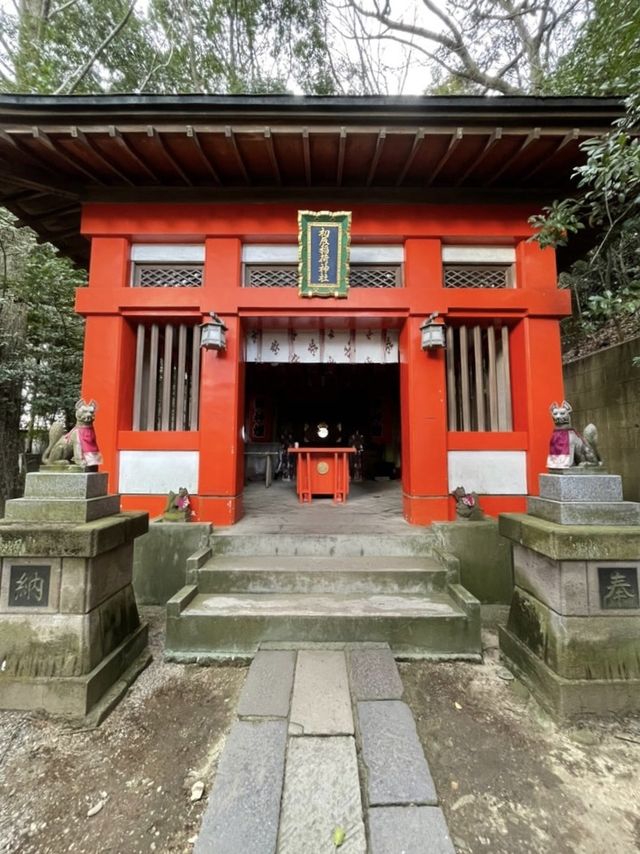 【栃木県/二荒山神社】2023年行って良かった！栃木県の神社③