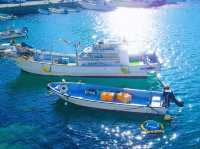 【絶景】限りなく透明に近いブルー！知る人ぞ知る美しい日本の海！柏島🚢
