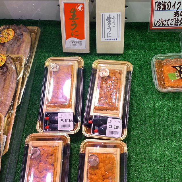 A trip to Kuroshio Market,Wakayama 