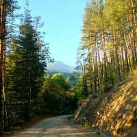 VISITING THE BEAR SANCTUARY BELITSA!
