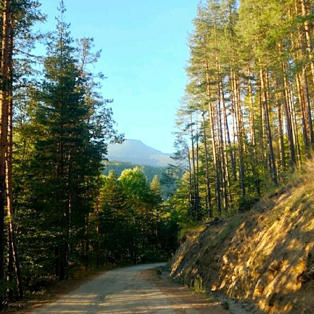 VISITING THE BEAR SANCTUARY BELITSA!