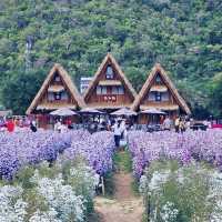 Beautiful day in Hokkaido Flower Park Khaoyai