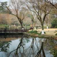 【大灣區】固橋公園：寧靜花園，適合散步和休憩