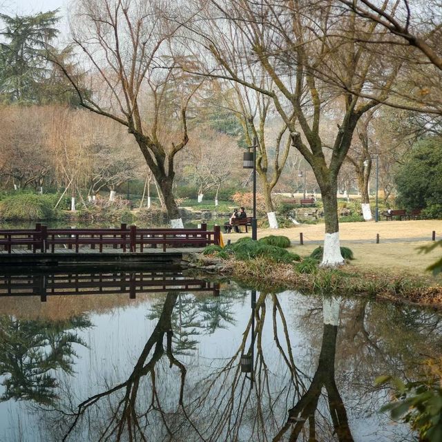 【大灣區】固橋公園：寧靜花園，適合散步和休憩