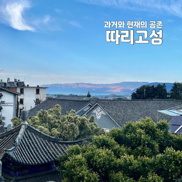 겨울철 힐링 여행지, 운남 따리고성✨
