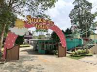 Brookside Valley & Strawberry Town จ.ระยอง