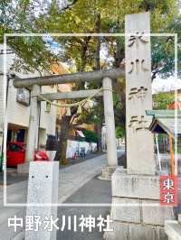 【東京都/中野氷川神社】中野区の「おひかわさま」