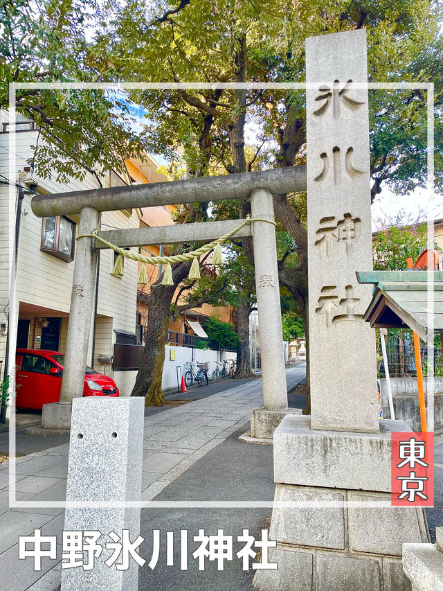 【東京都/中野氷川神社】中野区の「おひかわさま」
