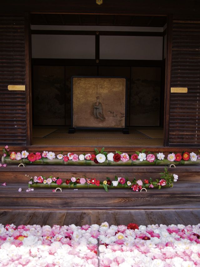 椿だらけのお寺を紹介💡※近隣スポット情報付