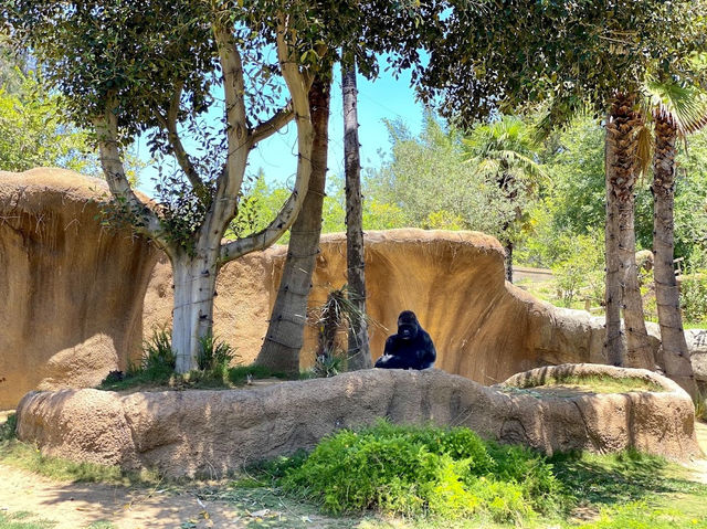 Los Angeles Zoo