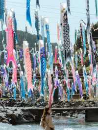 熊本阿蘇 | 杖立溫泉鯉魚旗祭典