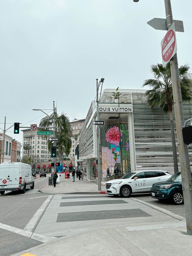 Beautiful and Luxurious Rodeo Drive, LA 🇺🇸