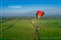 Flying Bird Paramotor Chiangmai