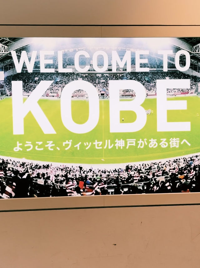 巨大緑🥦から目が離せない