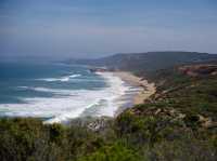 Great Ocean Road Highlights