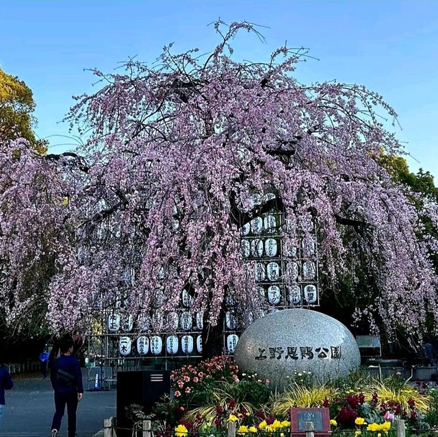 日本上野恩賜公園