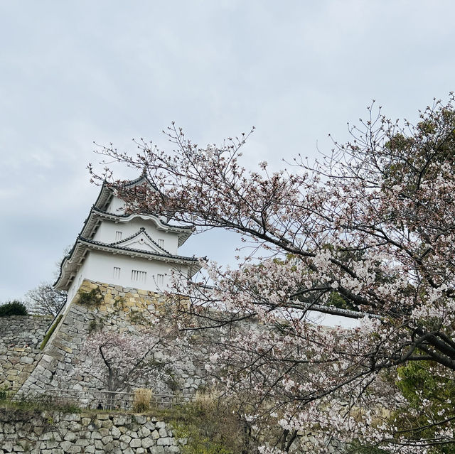 明石公園