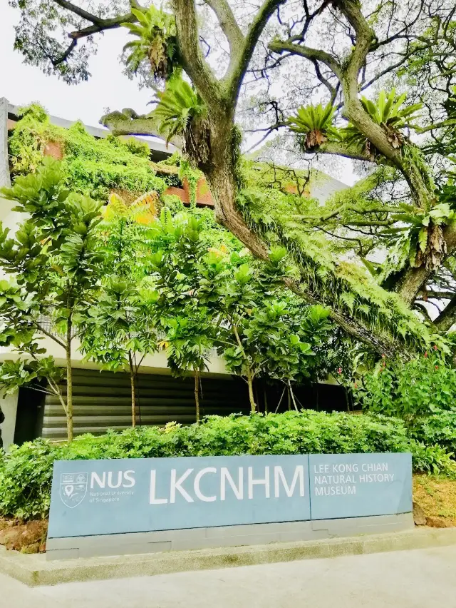 李光前自然歷史博物館