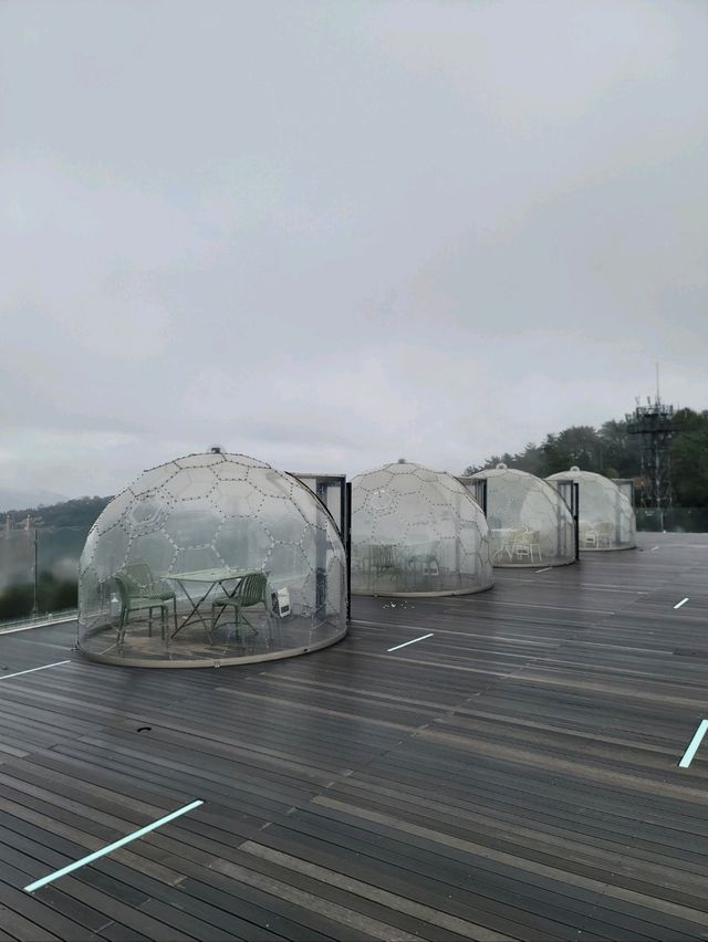 여수시가지뷰를 한눈에 담는 돔하우스카페💛