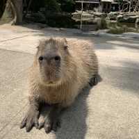 長崎県おすすめスポット2選