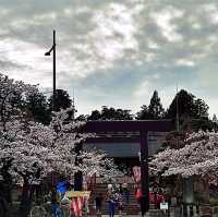 福島開成山公園：福島境內四座寶可夢公園之一，吉利蛋公園