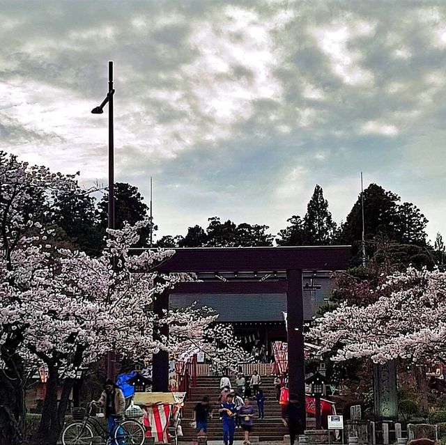 福島開成山公園：福島境內四座寶可夢公園之一，吉利蛋公園